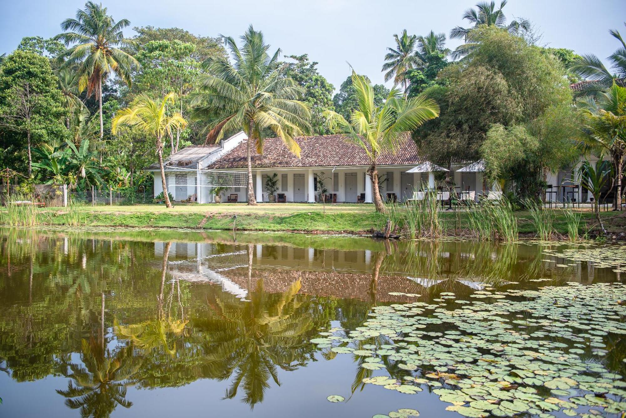 Good Story At Nirbana Island Bed & Breakfast Ahangama Eksteriør bilde